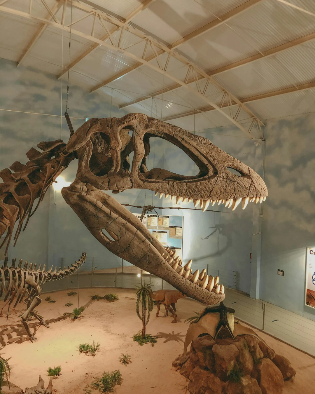 Dinos
