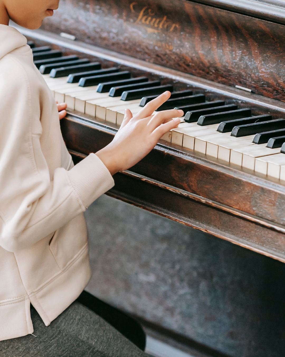 Musikbücher im Räuberfuchs