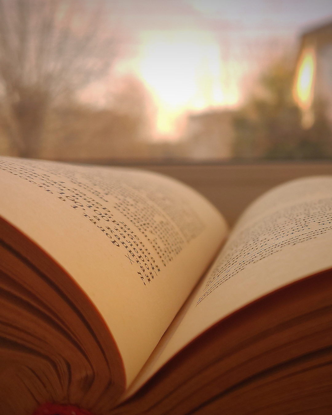 Philosophische Bücher