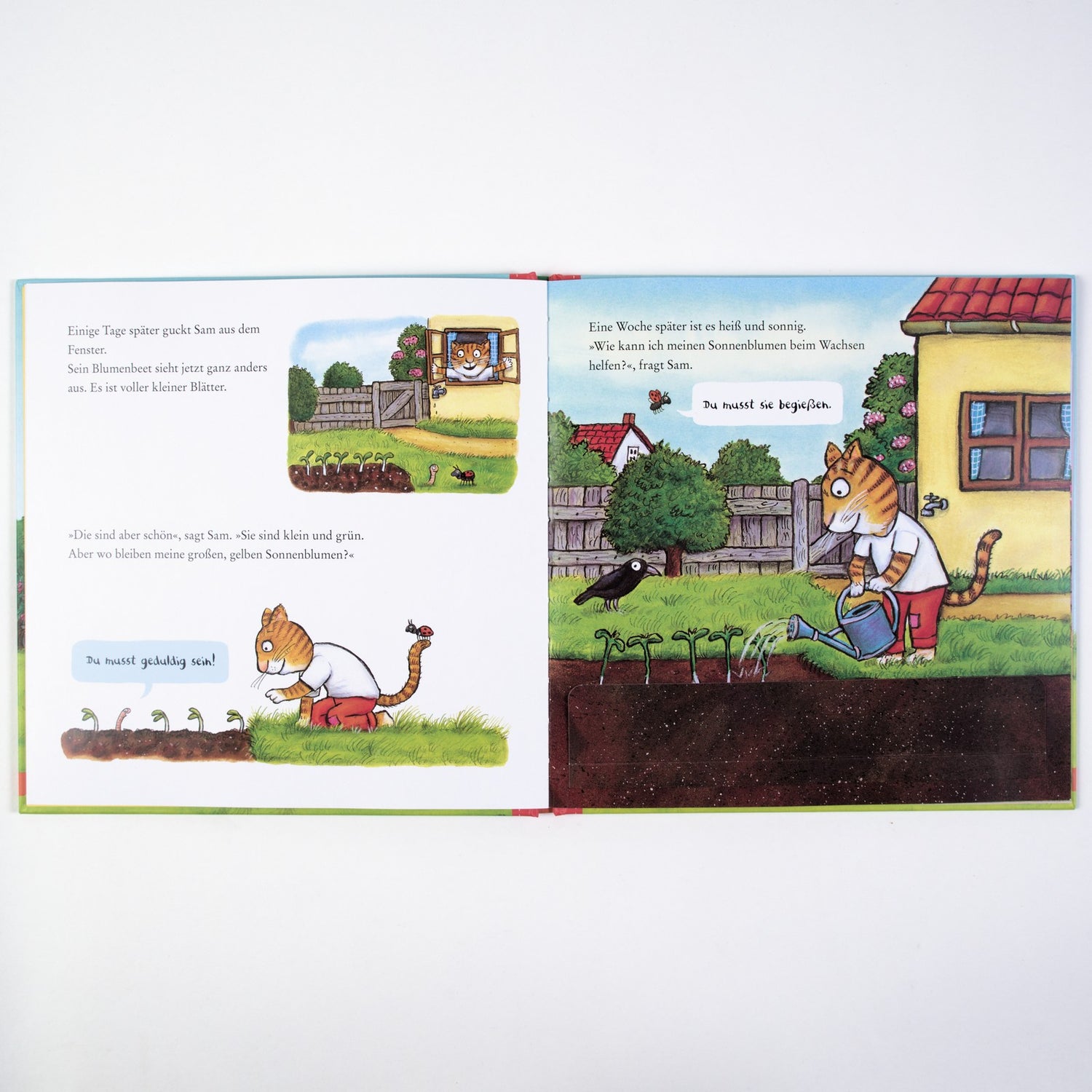 Sam pflanzt Sonnenblumen