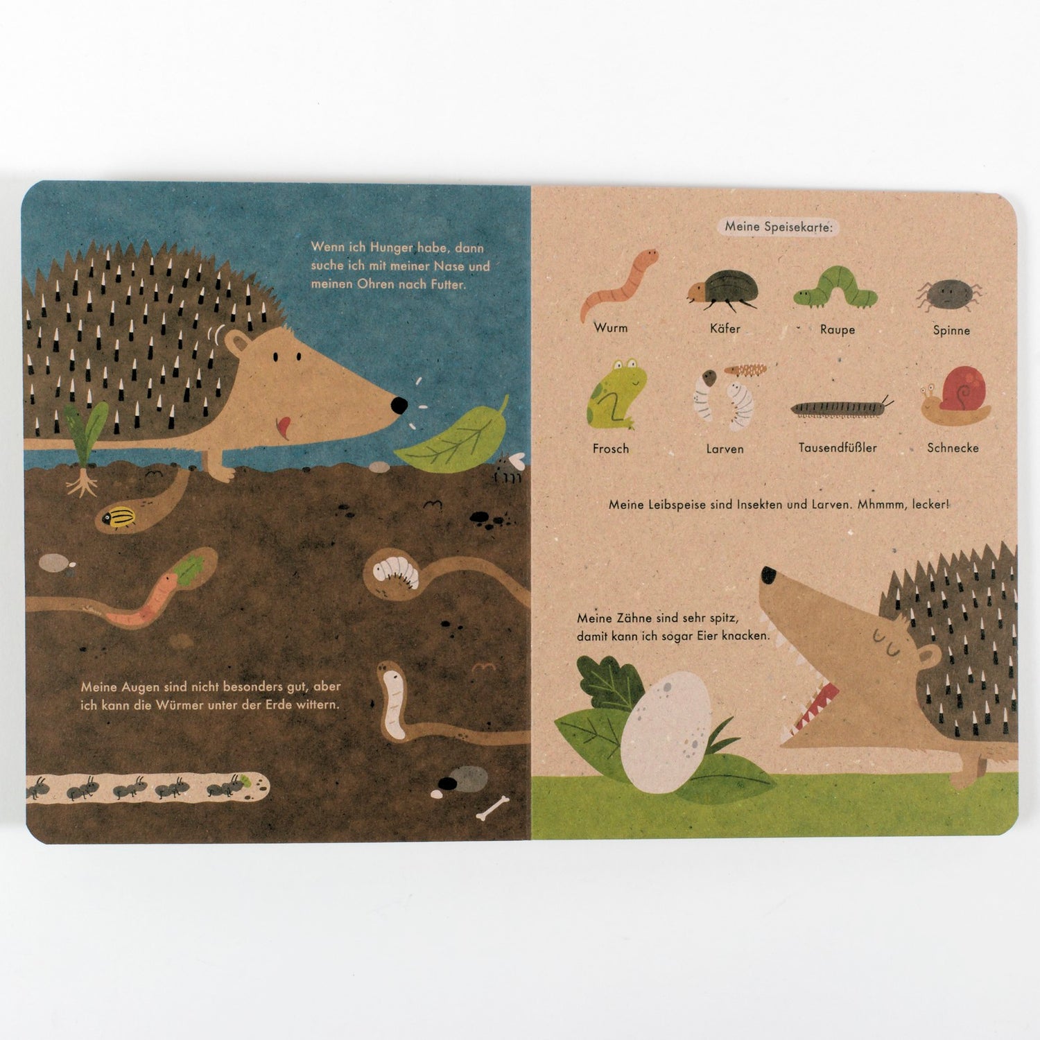 Ich bin der Igel: 100 % Naturbuch. Vierfarbiges Papp-Bilderbuch