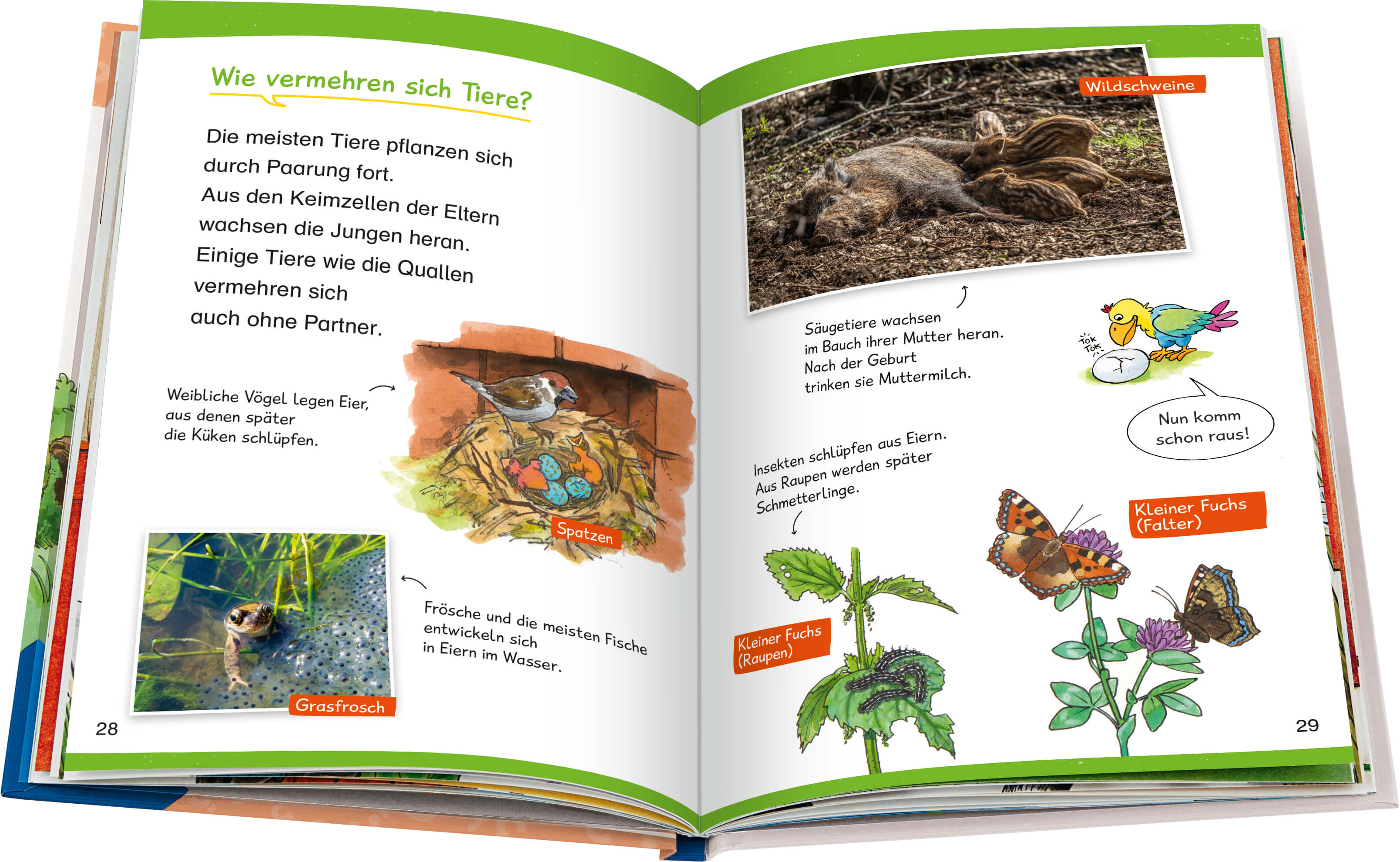 Wieso? Weshalb? Warum? Erstleser, Band 10 - In der Natur