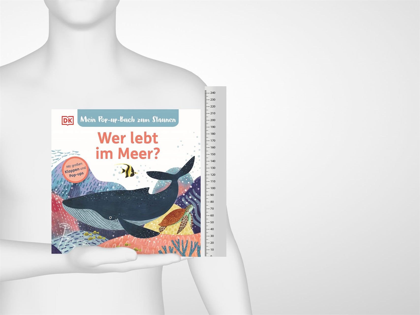 Mein Pop-up-Buch zum Staunen. Wer lebt im Meer?