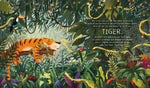Der achtsame Tiger 1: Der achtsame Tiger Przemyslaw Wechterowicz 9783551523723 Carlsen Verlag GmbH (2)