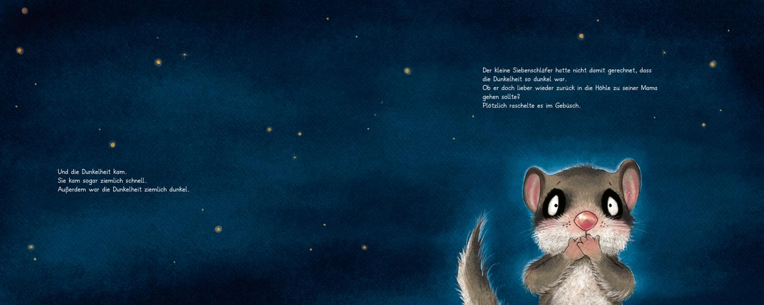 Der kleine Siebenschläfer 5: Die Geschichte vom kleinen Siebenschläfer, der überhaupt keine Angst im Sabine Bohlmann (3)