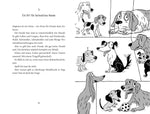 Dogtown Die Suche nach dem Für-immer-Zuhause Gennifer Choldenko 9783423641319 dtv Verlagsgesellschaft mbH & Co. KG (4)