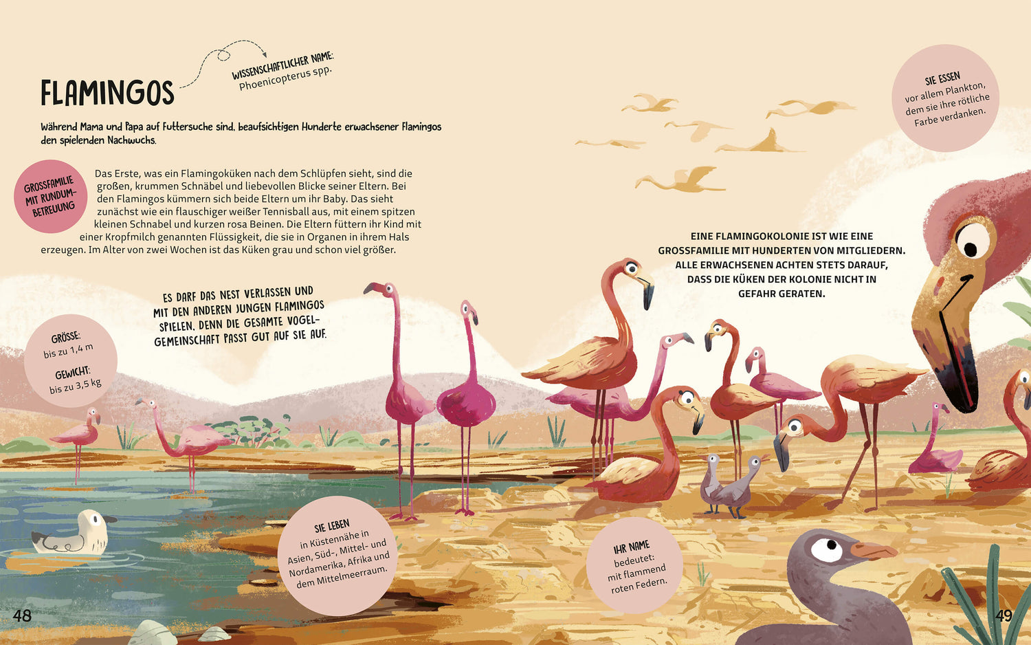 Familien im Tierreich Ein Sachbuch für Kinder ab 6 Jahren über Familiens  Tecnoscienza 9783734860867 Magellan GmbH & Co. ...