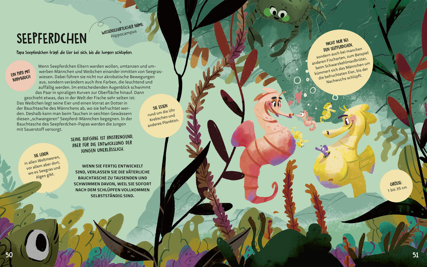 Familien im Tierreich Ein Sachbuch für Kinder ab 6 Jahren über Familiens  Tecnoscienza 9783734860867 Magellan GmbH & Co. ...