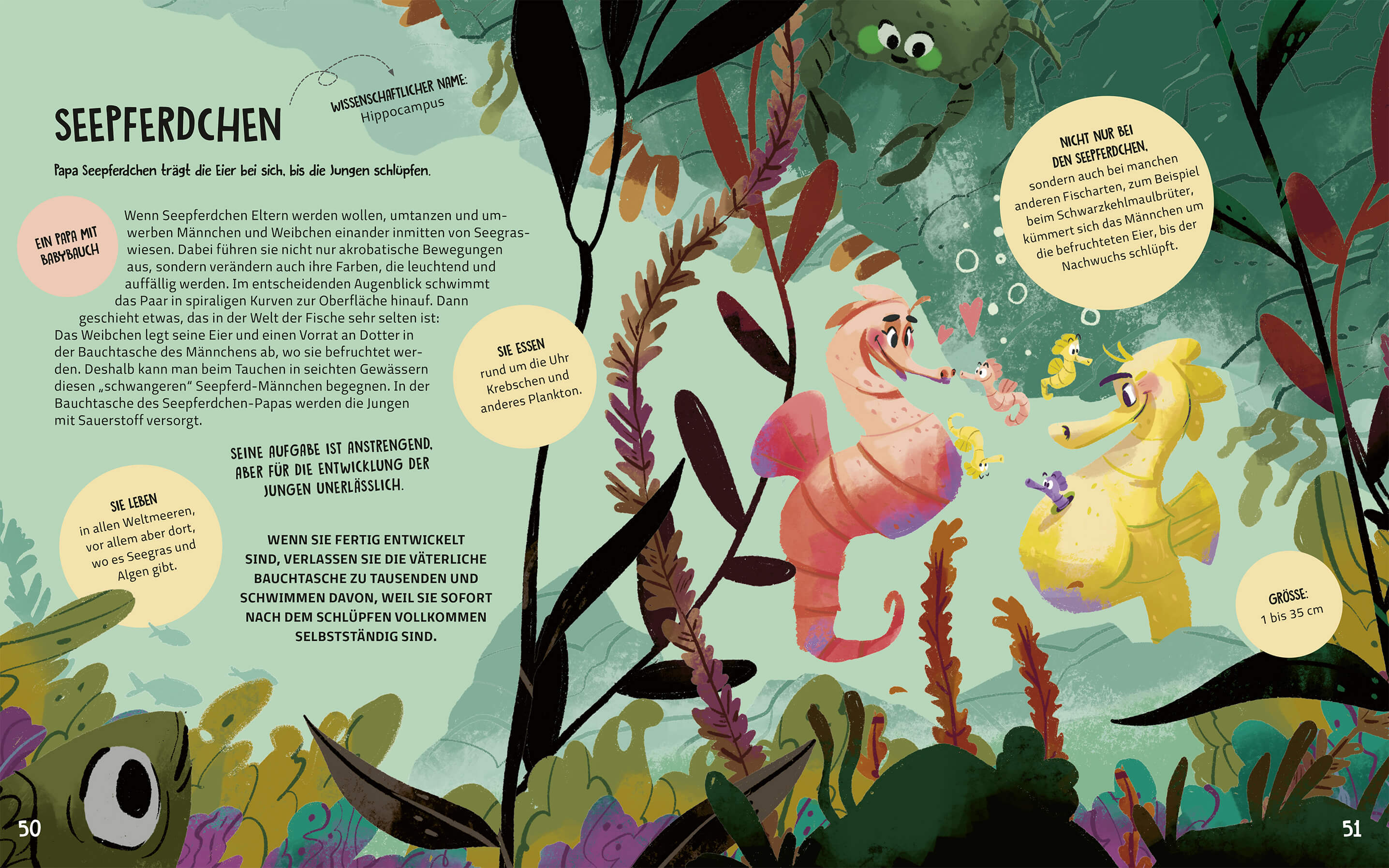 Familien im Tierreich Ein Sachbuch für Kinder ab 6 Jahren über Familiens  Tecnoscienza 9783734860867 Magellan GmbH & Co. ...