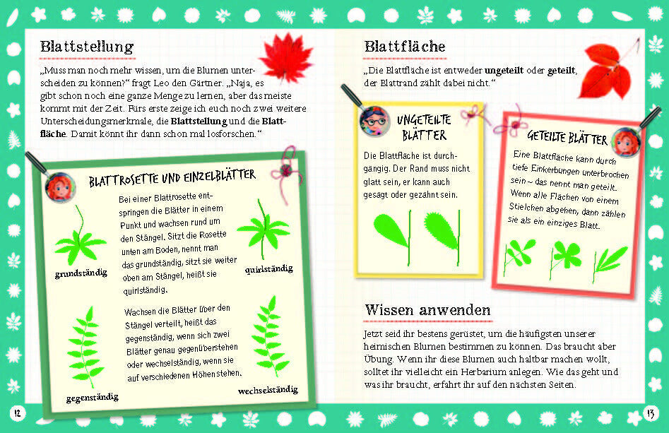 Flora & Leo. Mein erstes Herbarium Christine Schreier 9783968080093 Sophie Verlag GmbH (8)