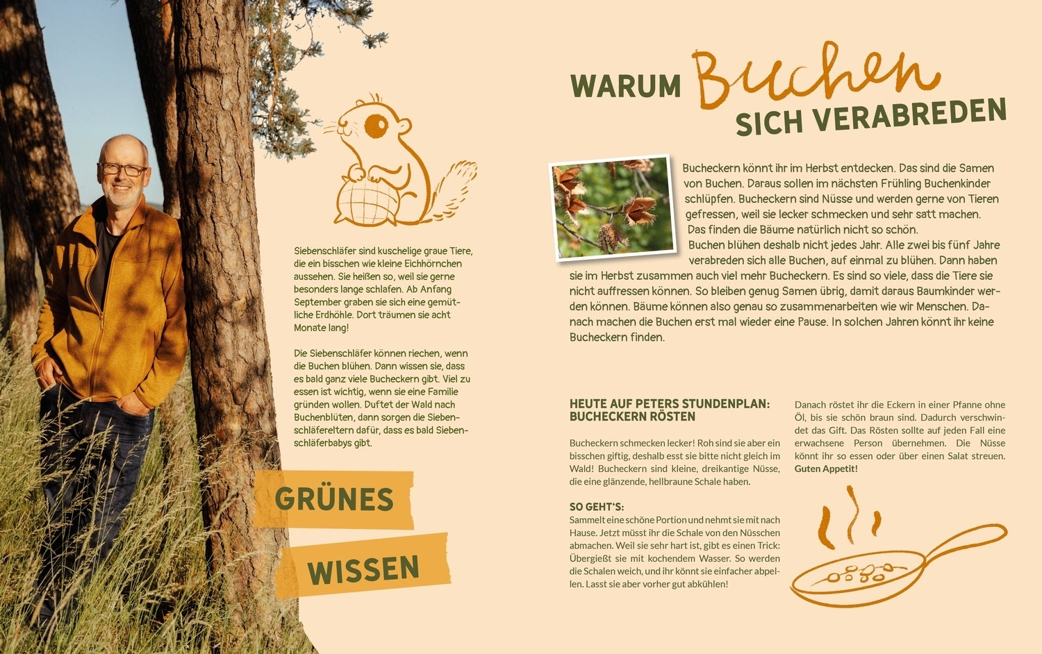 Friedrich Oetinger GmbH 9783751206532 Peter Wohllebens Schule des Waldes Was der Wald uns übers Leben lehrt (4)