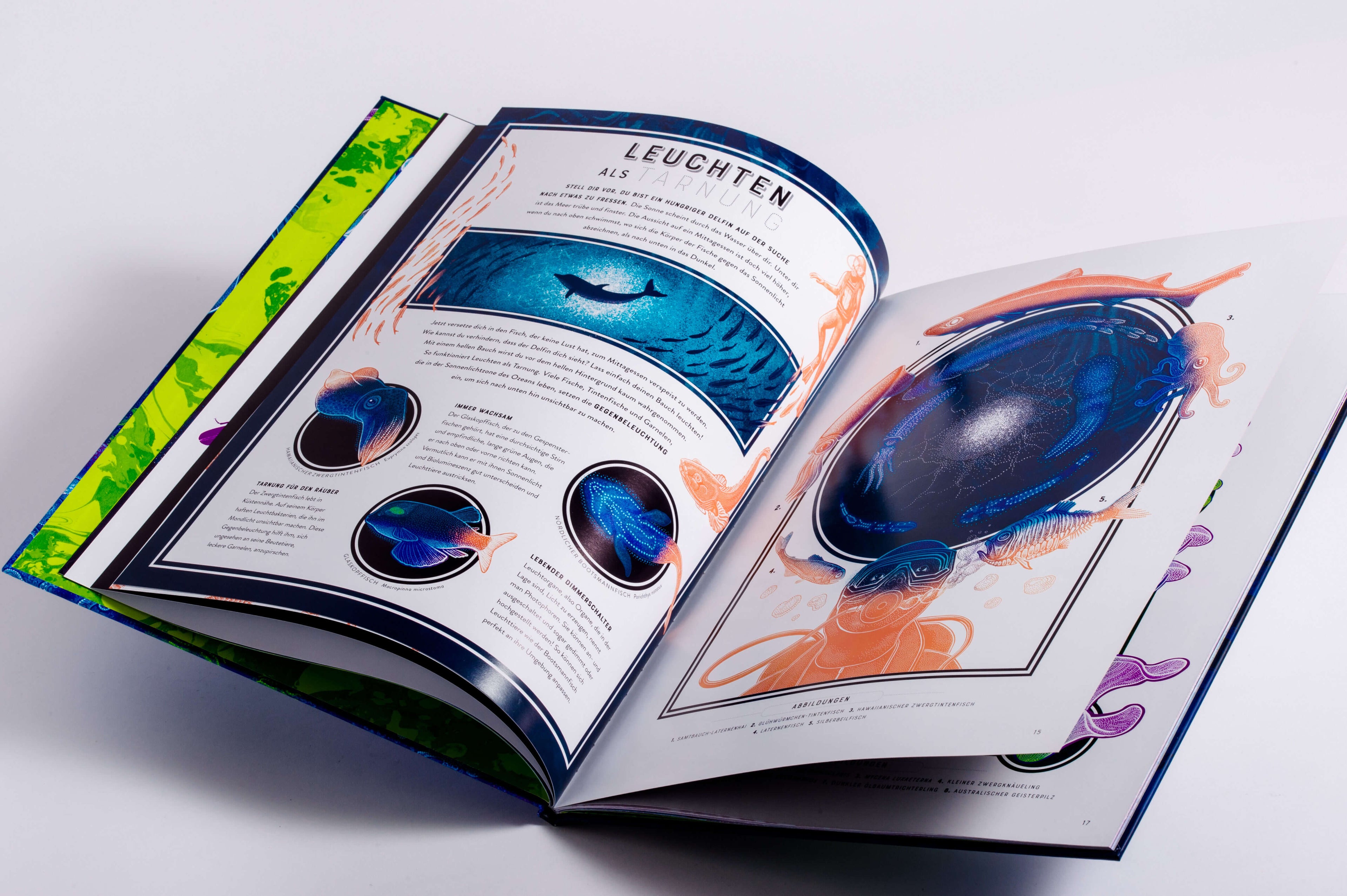 Glow – Das wundersame Leuchten der Natur Das Phänomen der Biolumineszenz mit wunderschönen Jennifer N.R. Smith 978357018...