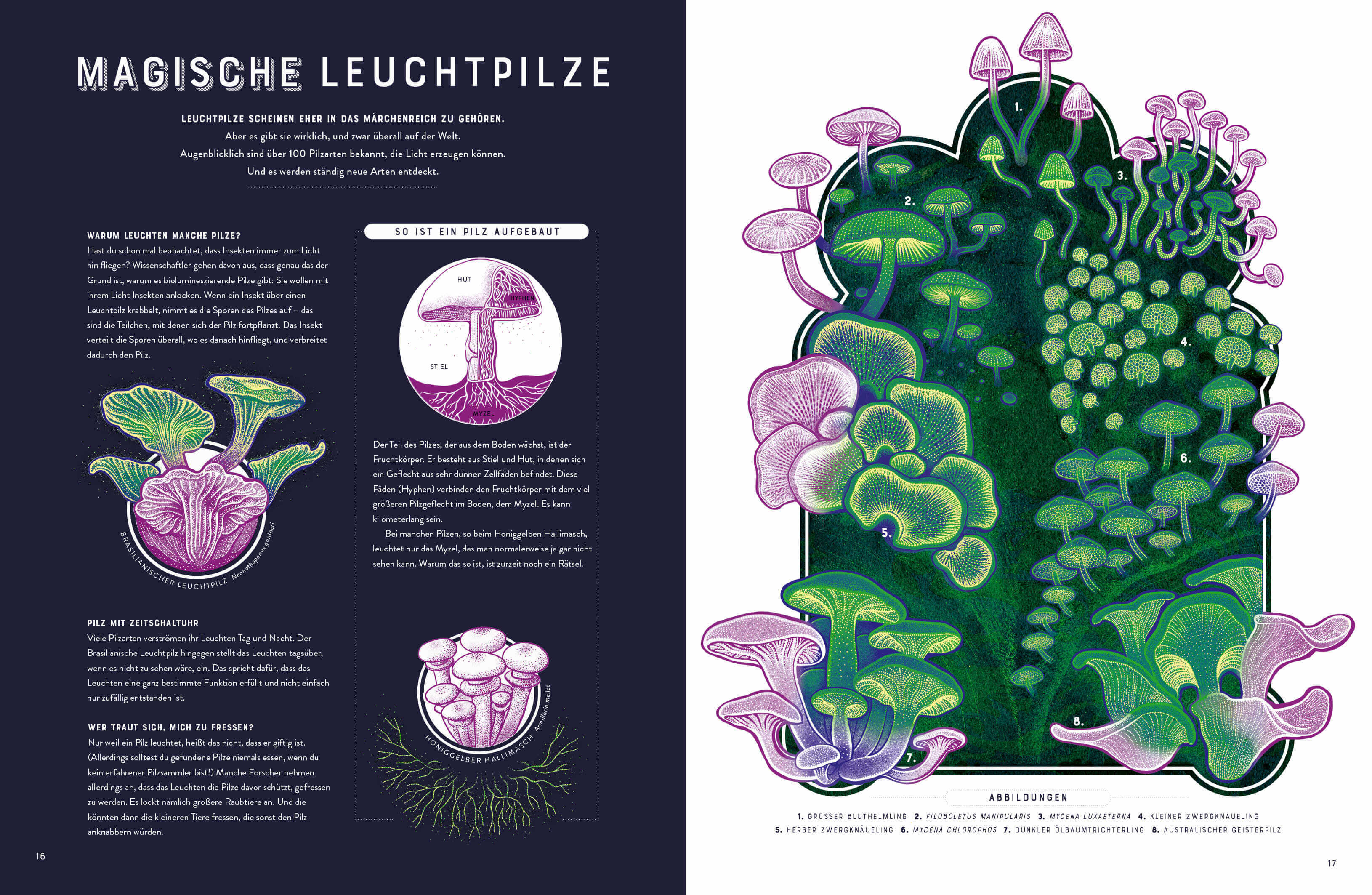 Glow – Das wundersame Leuchten der Natur Das Phänomen der Biolumineszenz mit wunderschönen Jennifer N.R. Smith 978357018...