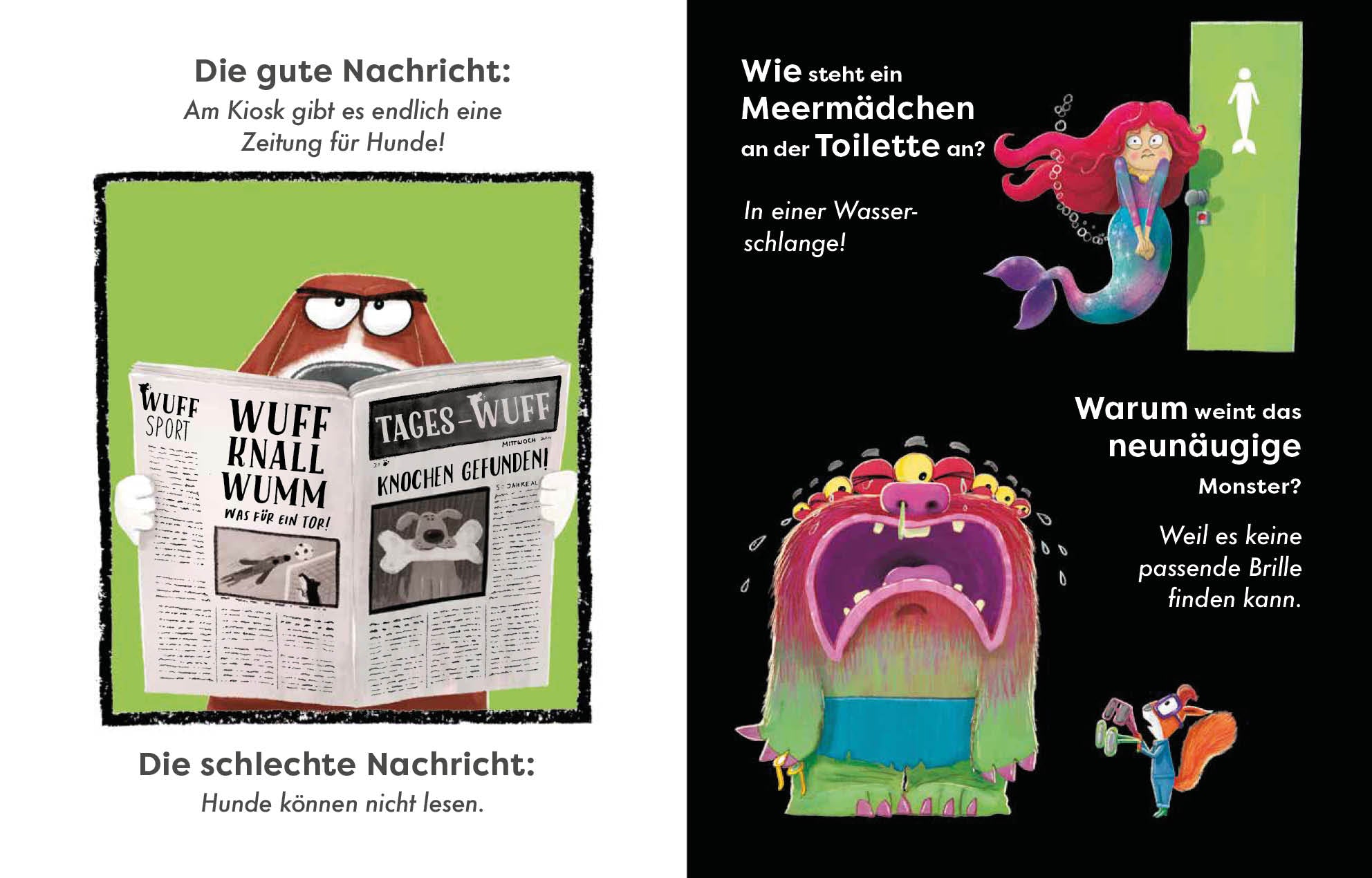 Hat hier wer gelacht? Ein Witze-Bilderbuch für Kinder Sean Hegarty 9783745927399 Edition Michael Fischer GmbH (4)