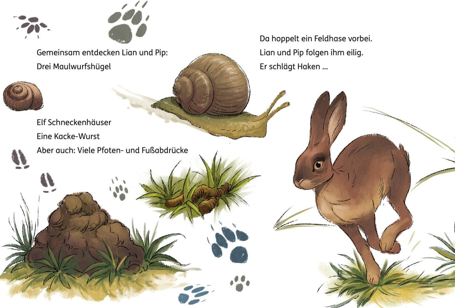 Lian, die Tierdetektivin 2: Wo ist Blob? Simone Veenstra 9783551691101 Carlsen Verlag GmbH (2)