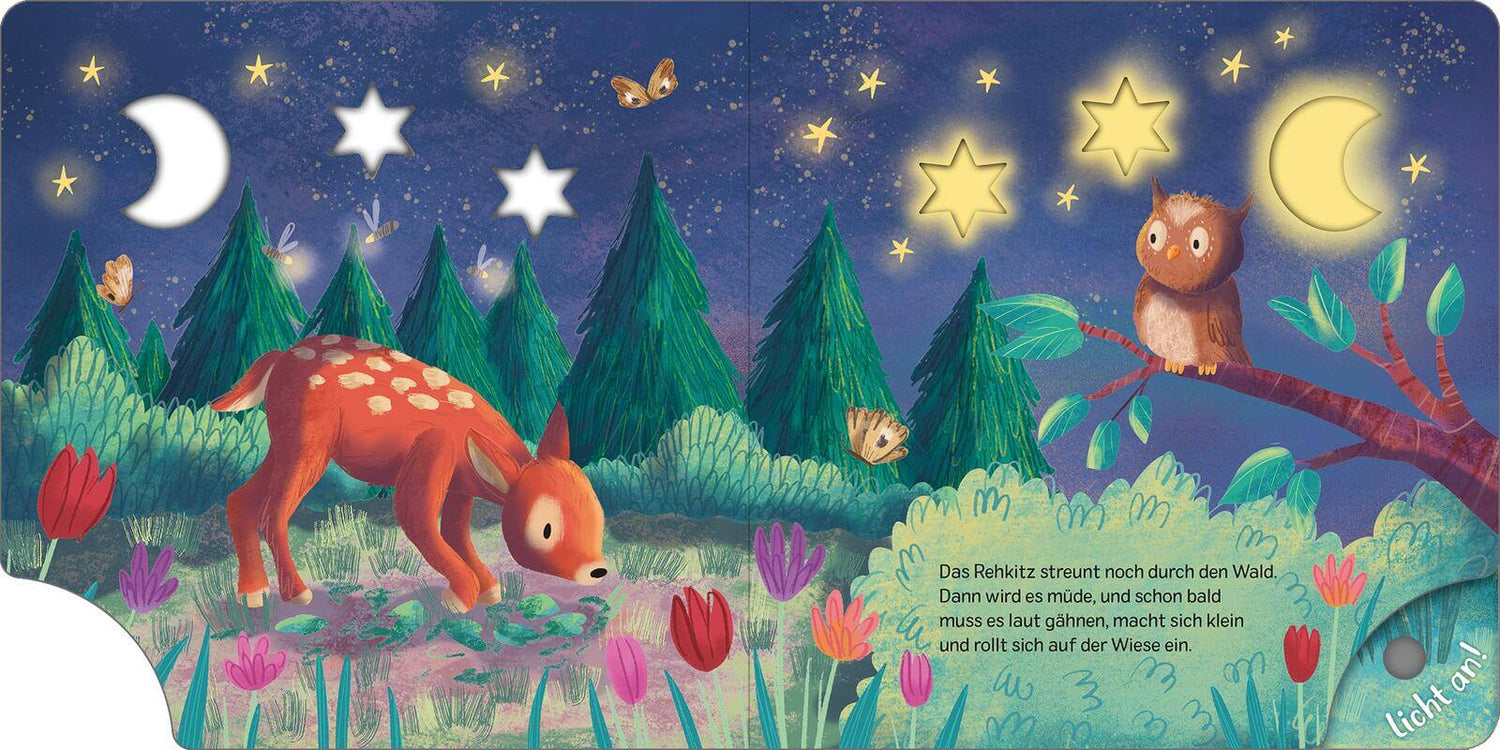 Mein Schlummer-Licht-Buch: Gute Nacht, Wald mit LED-Lichtern Maria Höck 9783845859637 ArsEdition GmbH (3)