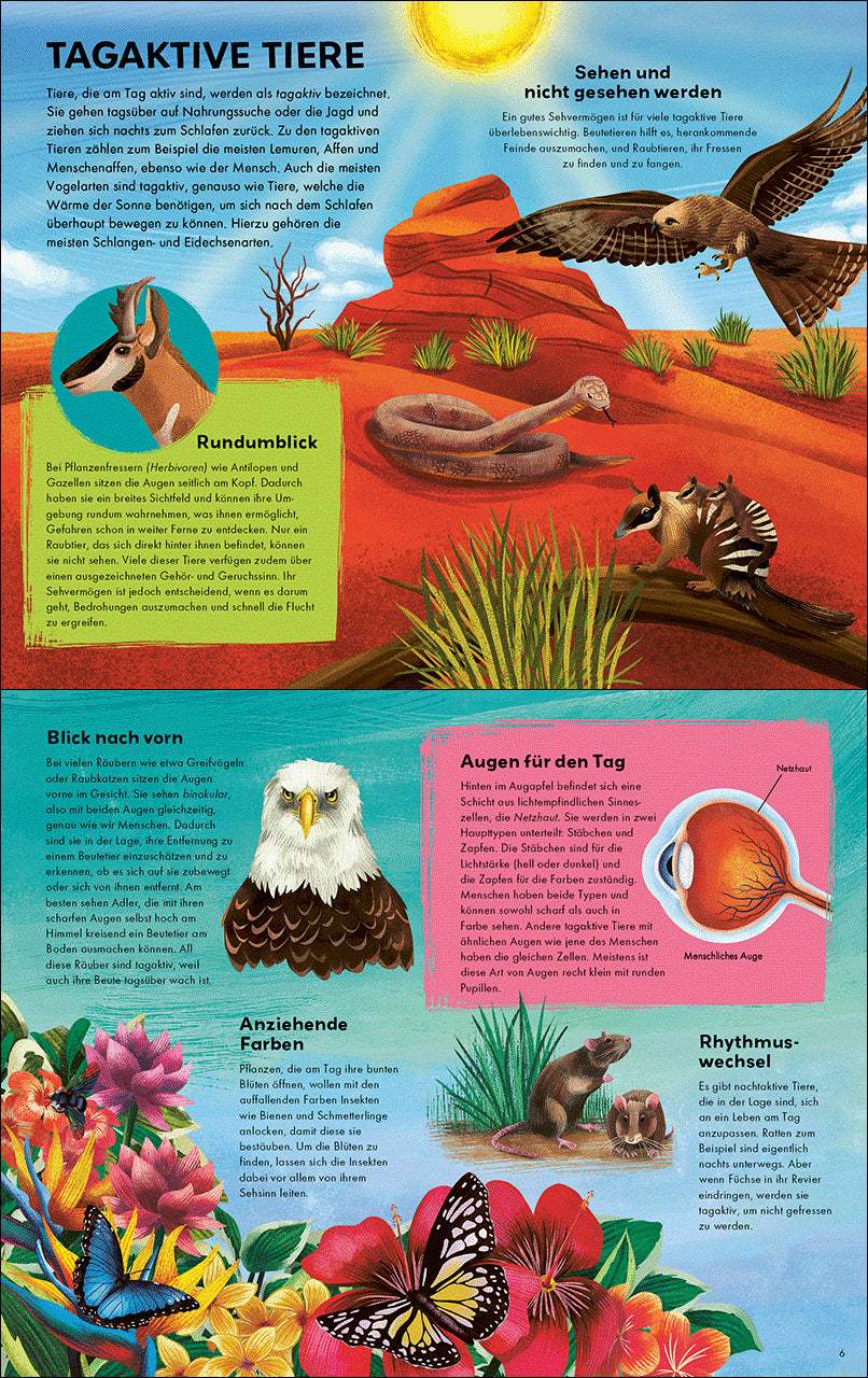 Tagaktiv/Nachtaktiv Erkunde die Tiere am Tag und in der Nacht - Wunder Michael Bright 9783743220942 Loewe Verlag GmbH (4)