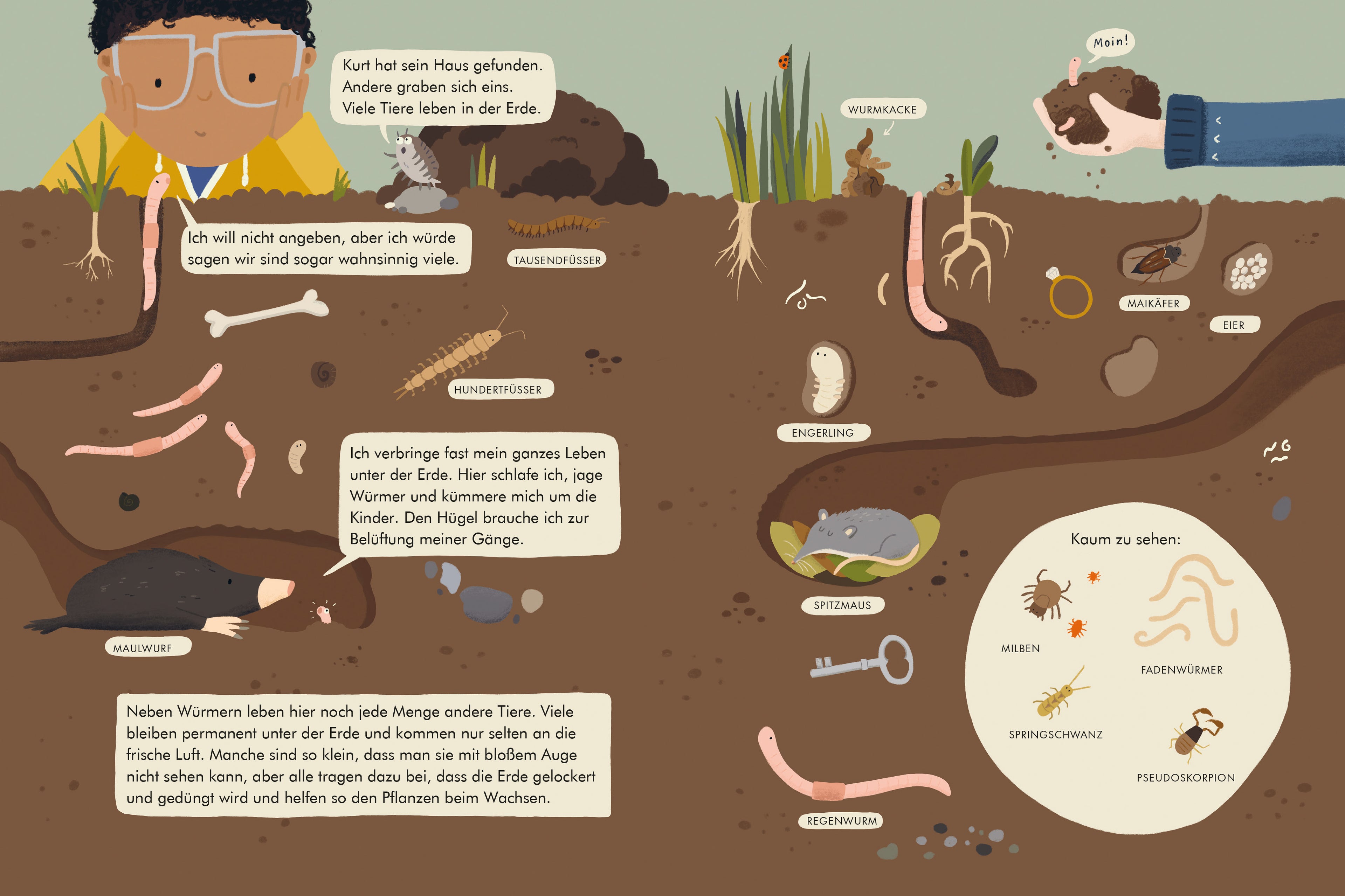 Tierische Wohnungen Das Leben da draußen Katrin Wiehle 9783407759238 Verlagsgruppe Beltz (3)