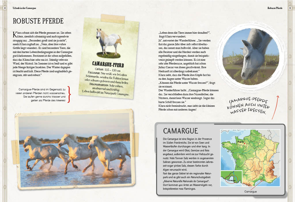 Verborgene Welt der Pferde Mythisches Tier und bester Freund Babette Pribbenow 9783968080185 Sophie Verlag GmbH (3)