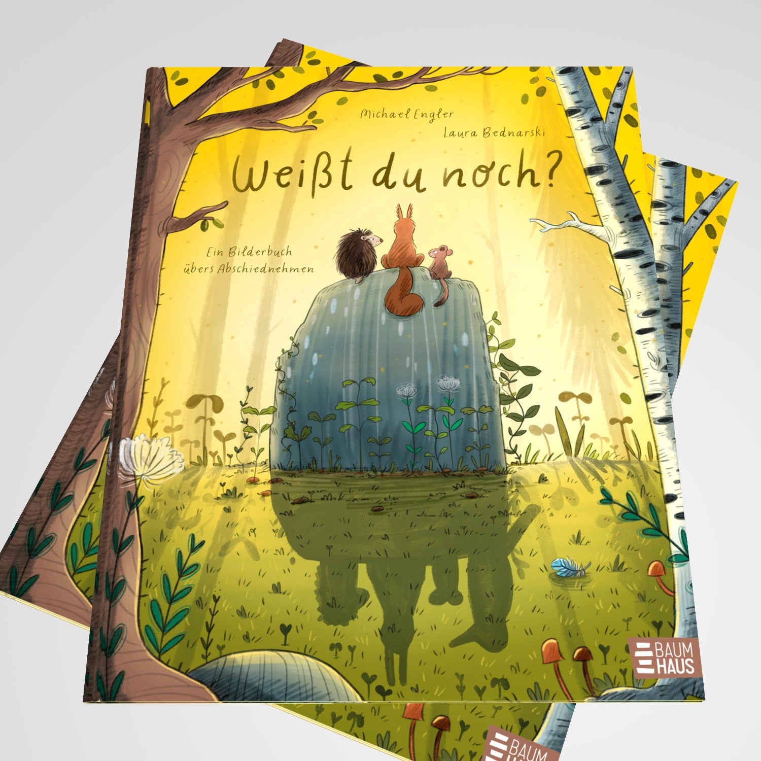 Weißt du noch? Ein Bilderbuch vom Abschiednehmen Tröstlich und einfühlsam – ein Trauerbuch für Kind Michael Engler (3)