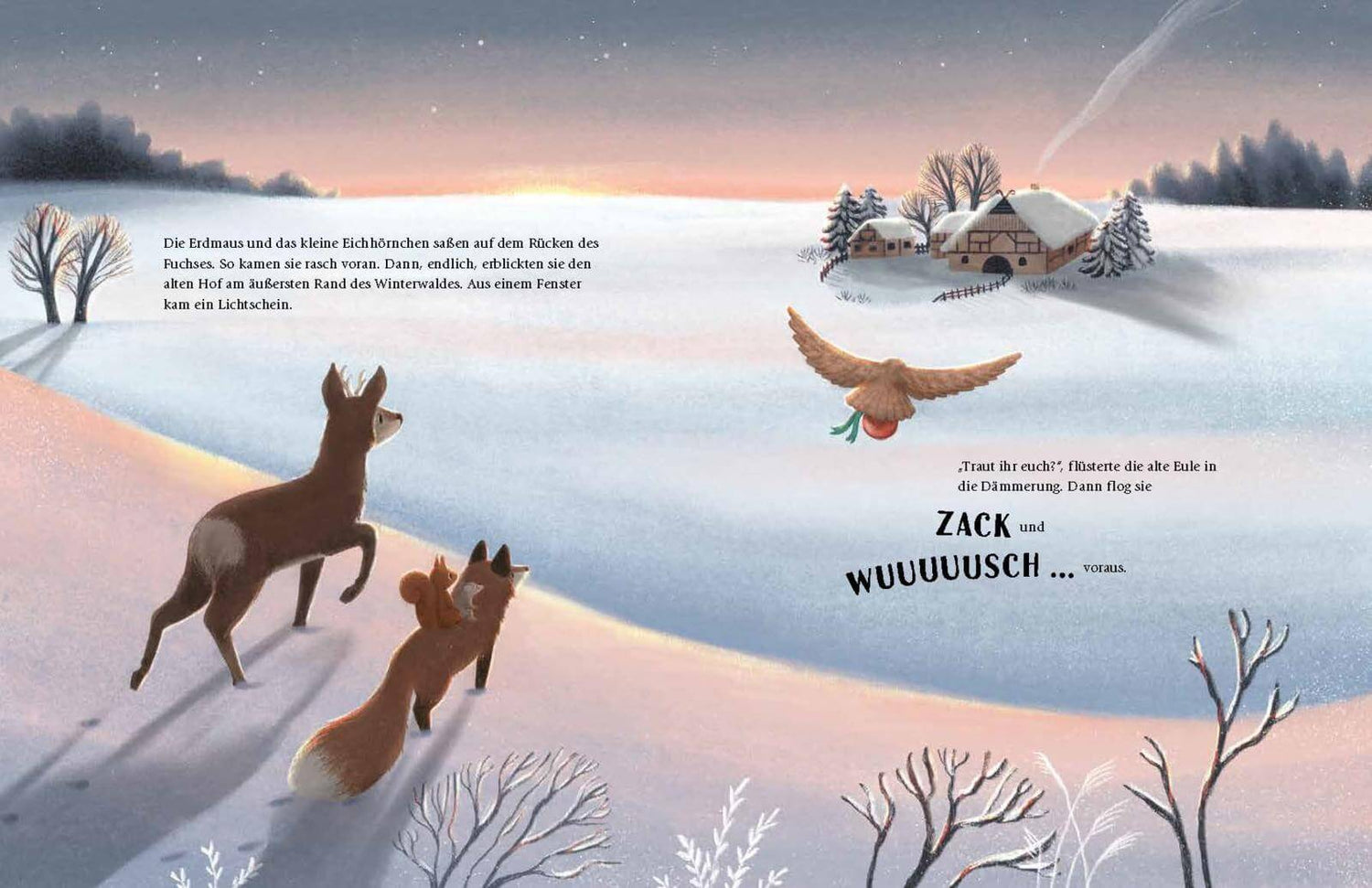 Wem gehört das Weihnachtsdings? Weihnachtsbilderbuch über die Freude am Teilen Madlen Ottenschläger 9783480239924 Thienem...