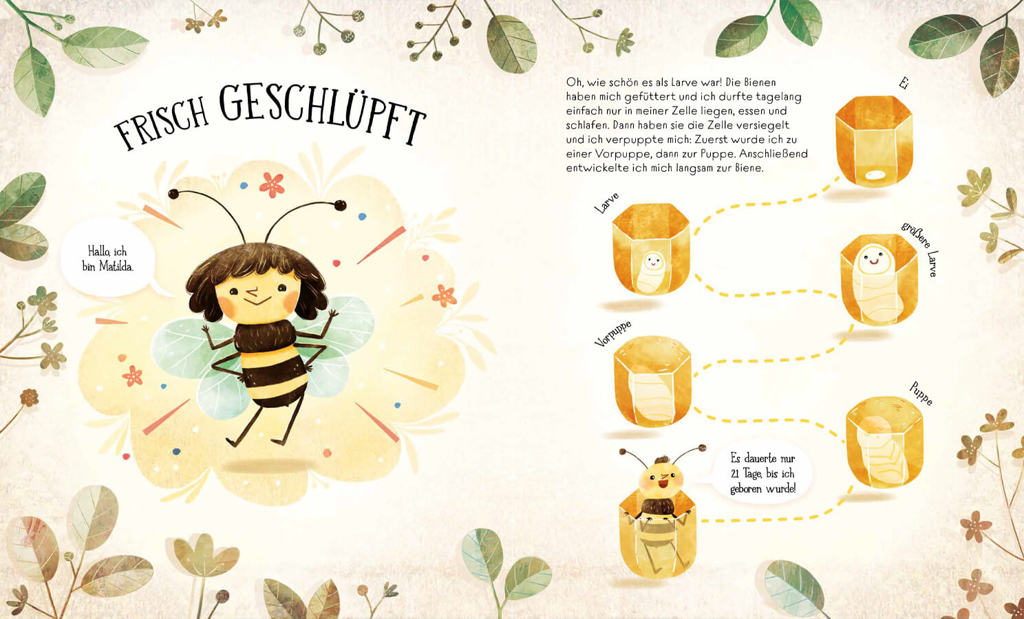 Wie Bienen leben. Matilda erzählt. Empfohlen ab 6 Jahren. Štĕpánka Sekaninová 9783735853561 frechverlag GmbH (2)