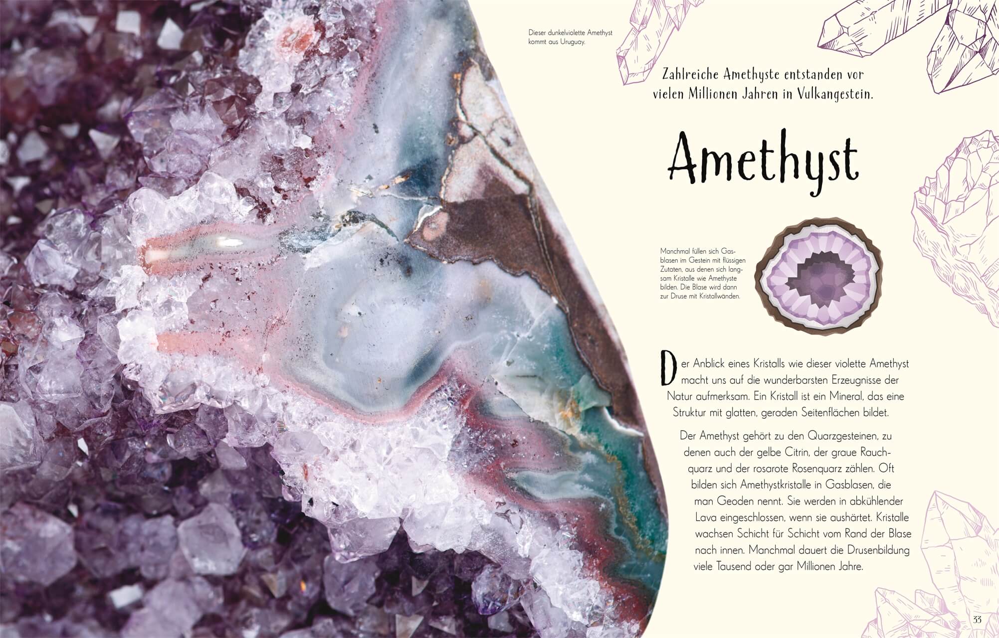 Wundervolle Welt. Erde Ein Natur-Bilderbuch für die ganze Familie. Hochwe Cally Oldershaw 9783831049172 DK Verlag Dorling...