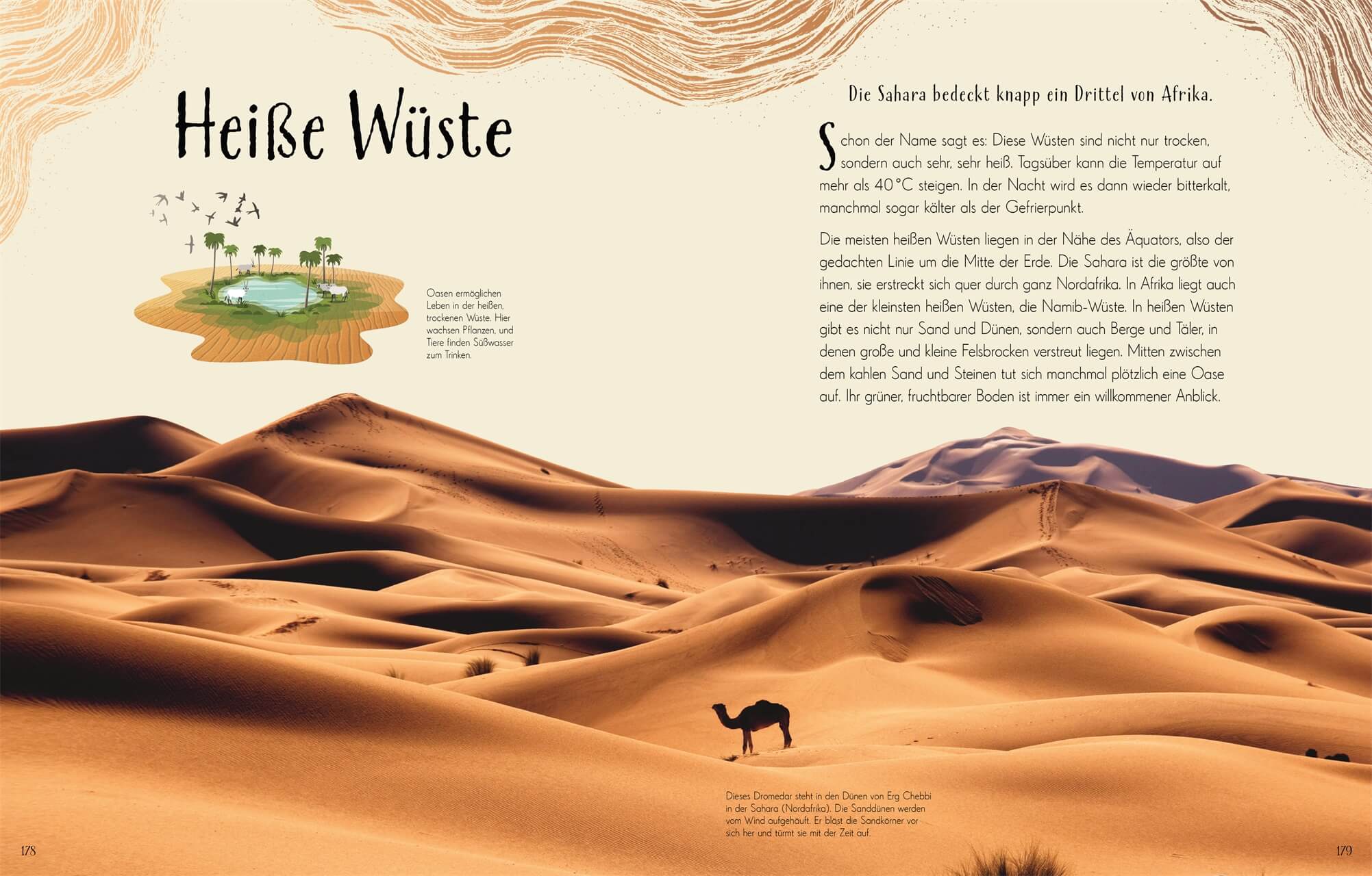 Wundervolle Welt. Erde Ein Natur-Bilderbuch für die ganze Familie. Hochwe Cally Oldershaw 9783831049172 DK Verlag Dorling...