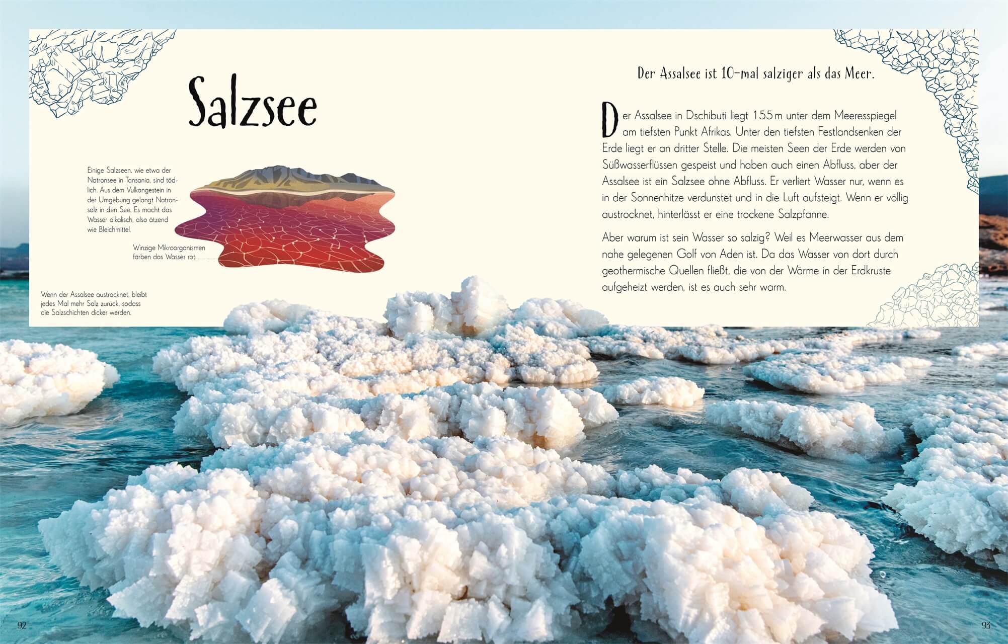 Wundervolle Welt. Erde Ein Natur-Bilderbuch für die ganze Familie. Hochwe Cally Oldershaw 9783831049172 DK Verlag Dorling...