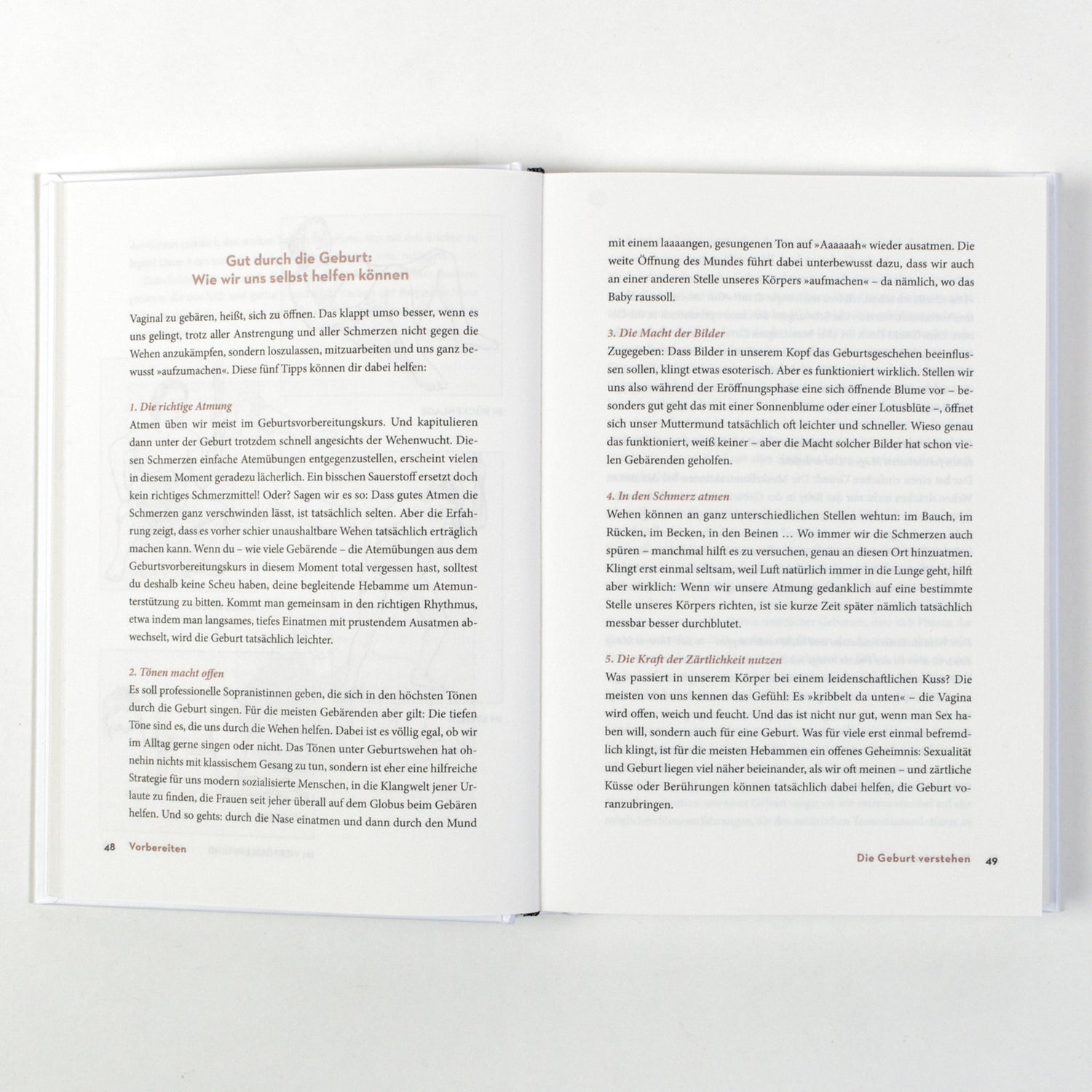 Das Geburtsbuch