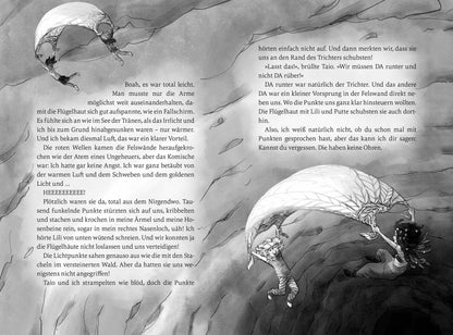 Im Bann der Elemente (Bd. 1)