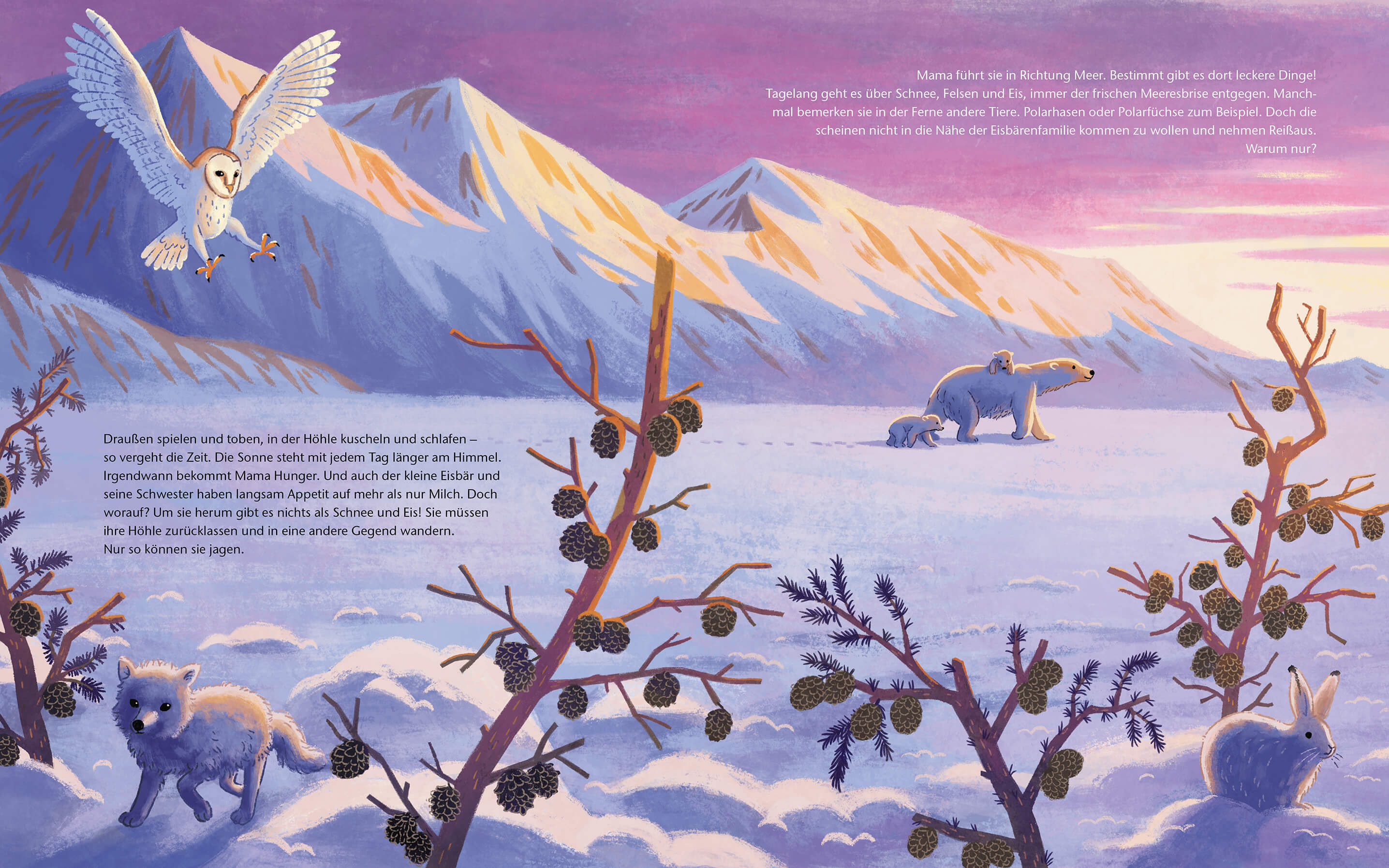 Der kleine Polarbär - Zu Hause in der Arktis