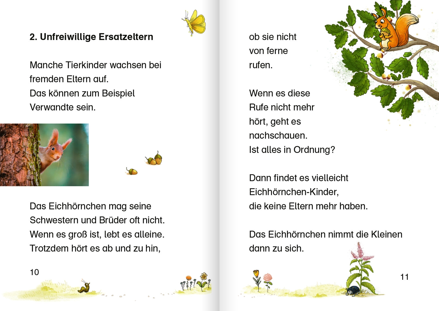 Tierkinder im Wald: Lesestarter. 1. Lesestufe