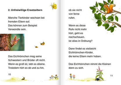Tierkinder im Wald: Lesestarter. 1. Lesestufe