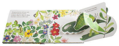 Mein Pop-up-Buch zum Staunen. Wo kommst du her, kleiner Schmetterling?