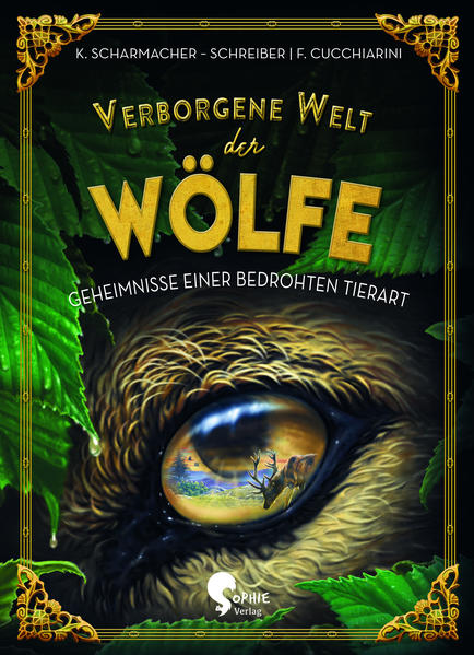 Verborgene Welt der Wölfe: Geheimnisse einer bedrohten Tierart