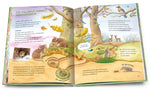 Arena Verlag GmbH 9783401719979 Geh hinaus und entdecke. Tiere und Pflanzen beim Waldspaziergang (2)