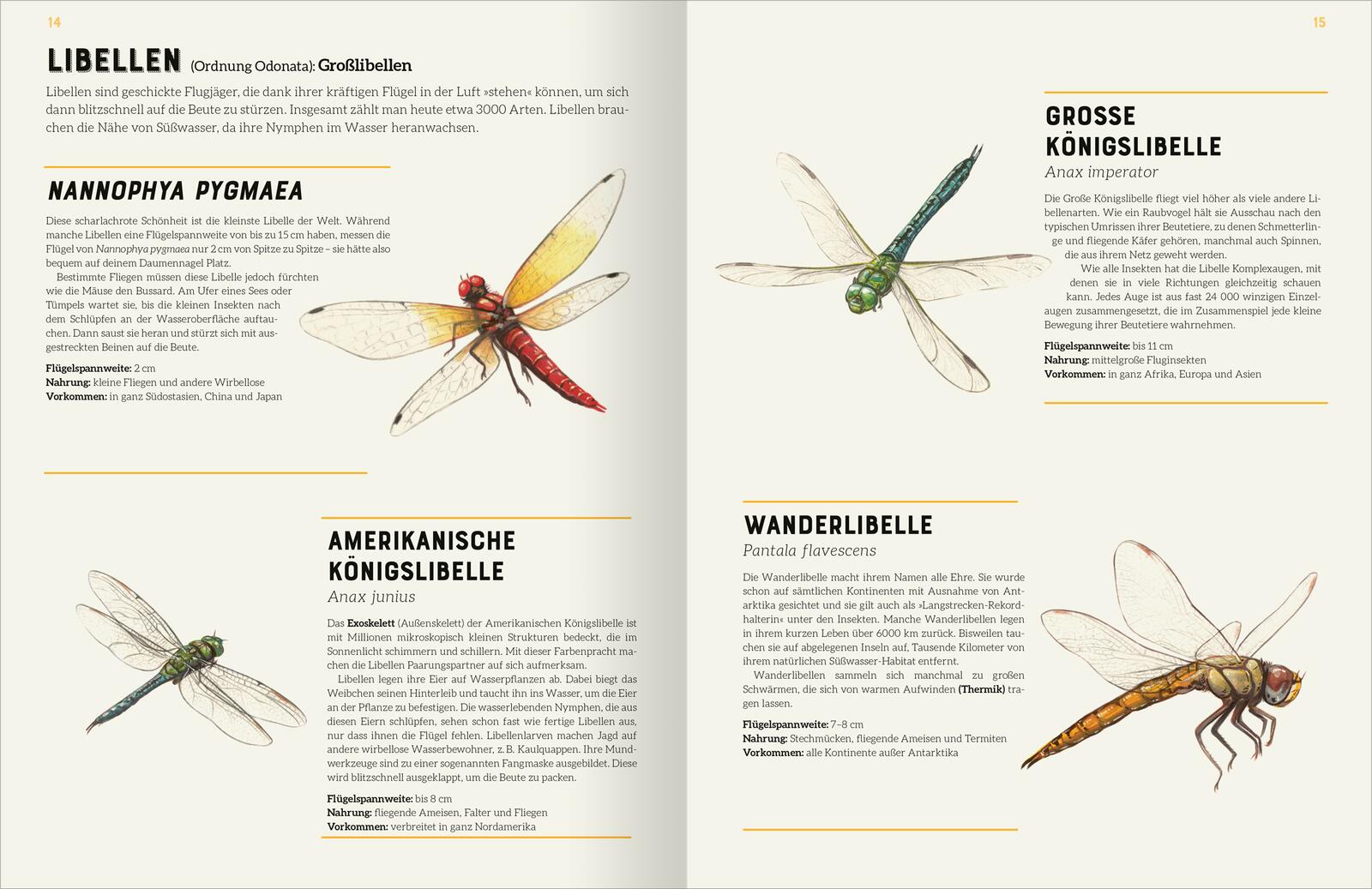 ArsEdition  978-3-8458-5753-4 Das große Lexikon der Insekten (4)