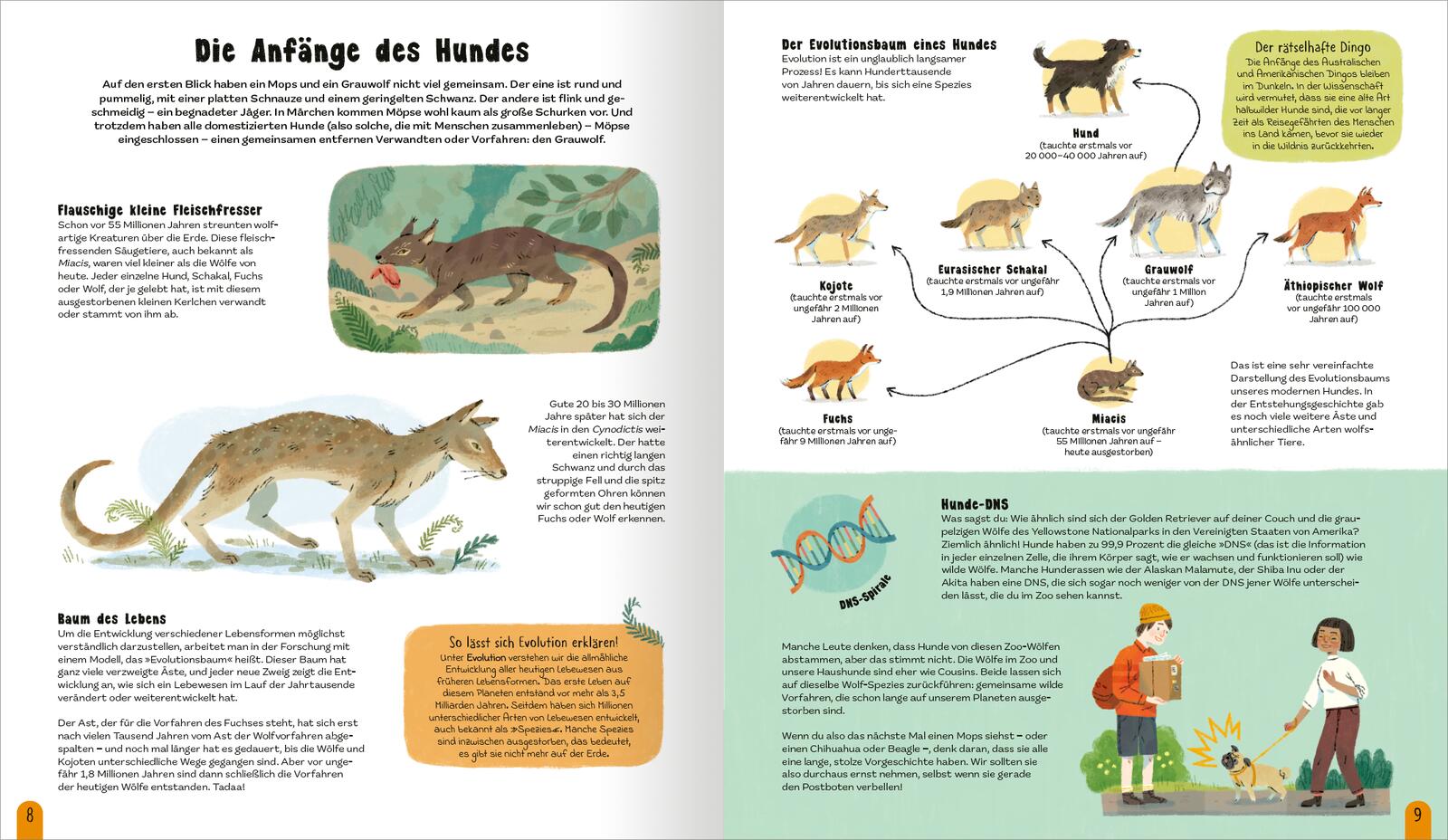 ArsEdition  978-3-8458-5843-2 Die Welt der Hunde Alles über unsere Freunde auf vier Pfoten (4)