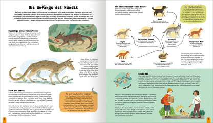 ArsEdition  978-3-8458-5843-2 Die Welt der Hunde Alles über unsere Freunde auf vier Pfoten (4)