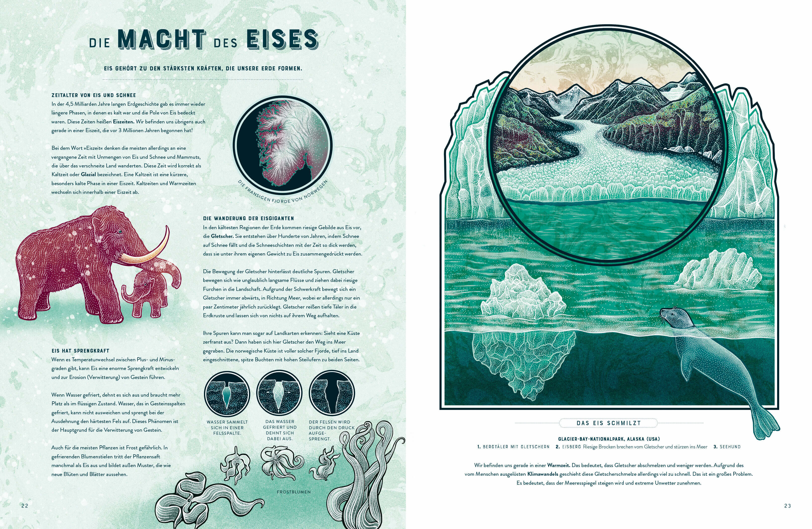  BANG! - Die spektakulärsten Naturphänomene der Erde Zischende, knallende und faszinierende Naturphänom Jennifer N.R. Smit...