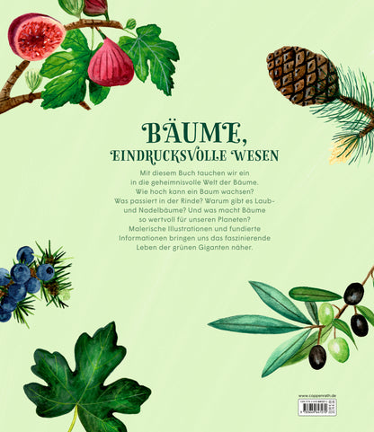 Coppenrath Verlag GmbH &amp; Co. KG 9783649647270 Die geheime Welt der Bäume Ein Sachbilderbuch (2)