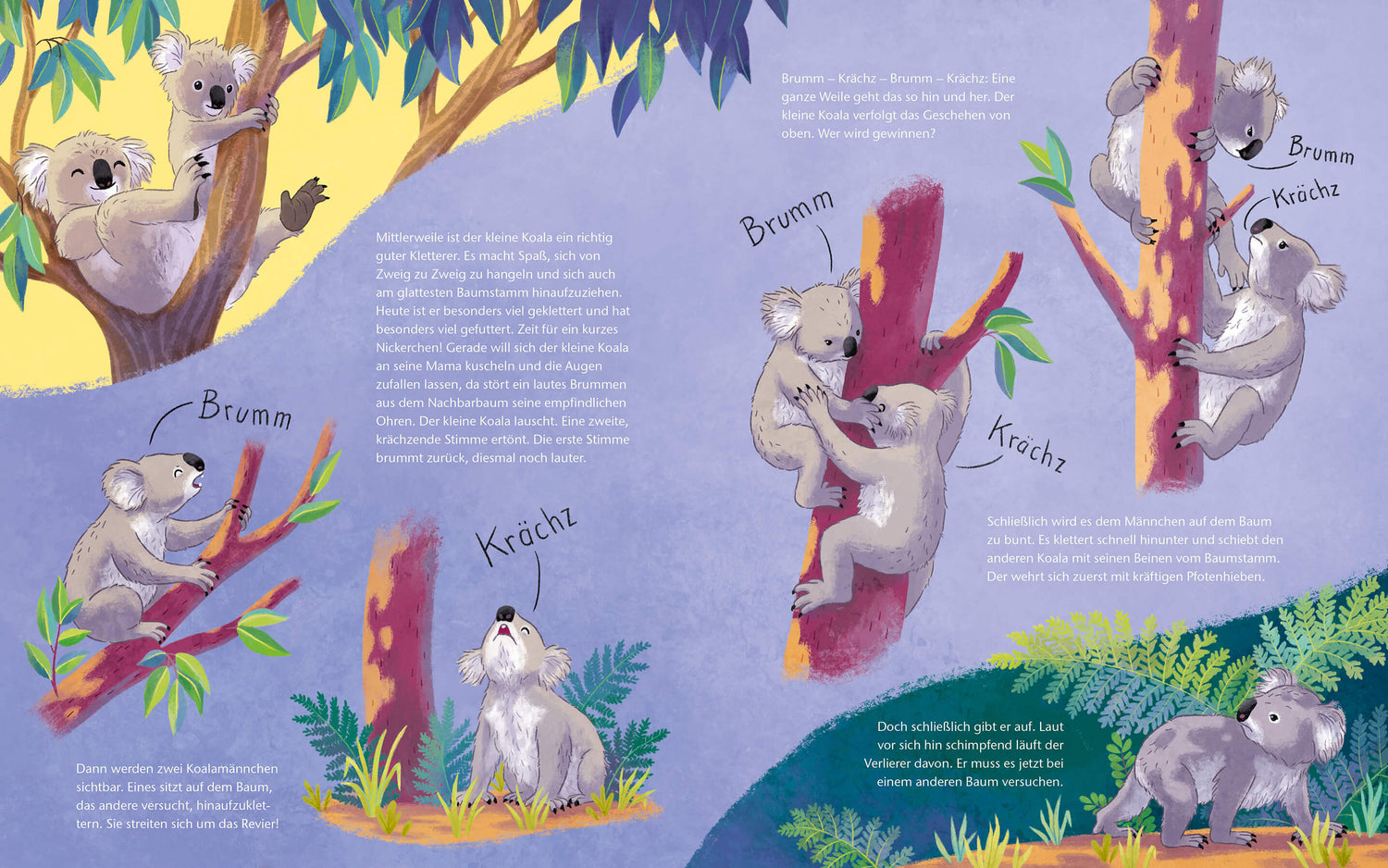  Der kleine Koala - Zu Hause im Eukalyptus Ein Sachbilderbuch für Kinder ab 4 Jahren Kristina Scharmacher-Schreiber (5)