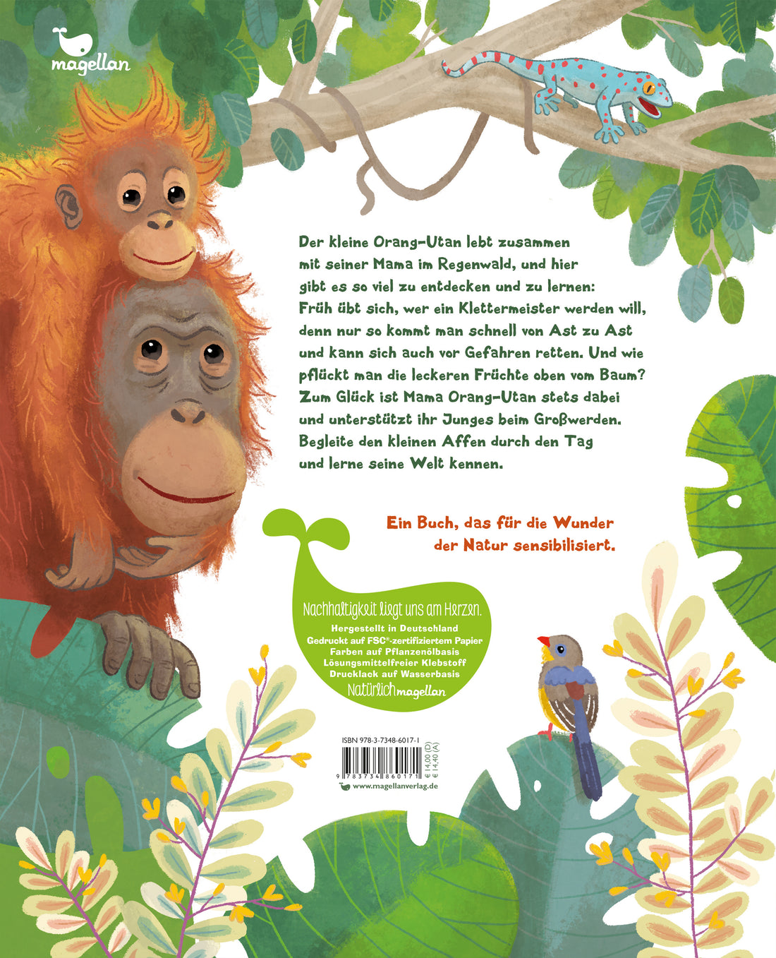 Der kleine Orang-Utan - Zu Hause im Regenwald Ein Sachbilderbuch für Kinder ab 4 Jahren Kristina Scharmacher-Schreiber (2)