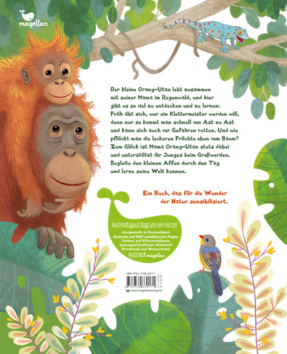  Der kleine Orang-Utan - Zu Hause im Regenwald Ein Sachbilderbuch für Kinder ab 4 Jahren Kristina Scharmacher-Schreiber (2)