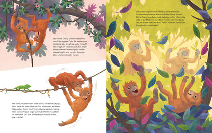  Der kleine Orang-Utan - Zu Hause im Regenwald Ein Sachbilderbuch für Kinder ab 4 Jahren Kristina Scharmacher-Schreiber (4)