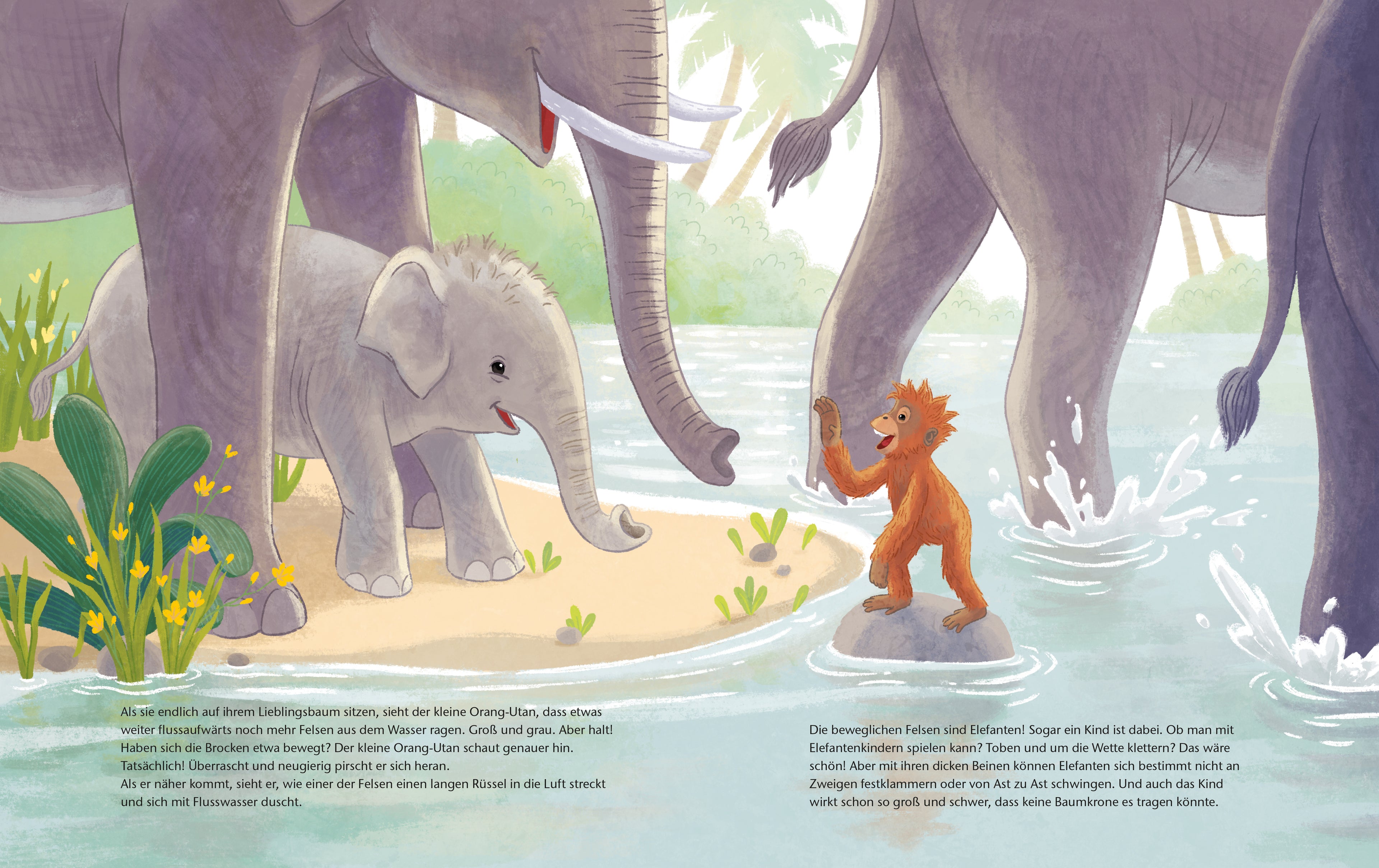  Der kleine Orang-Utan - Zu Hause im Regenwald Ein Sachbilderbuch für Kinder ab 4 Jahren Kristina Scharmacher-Schreiber (5)