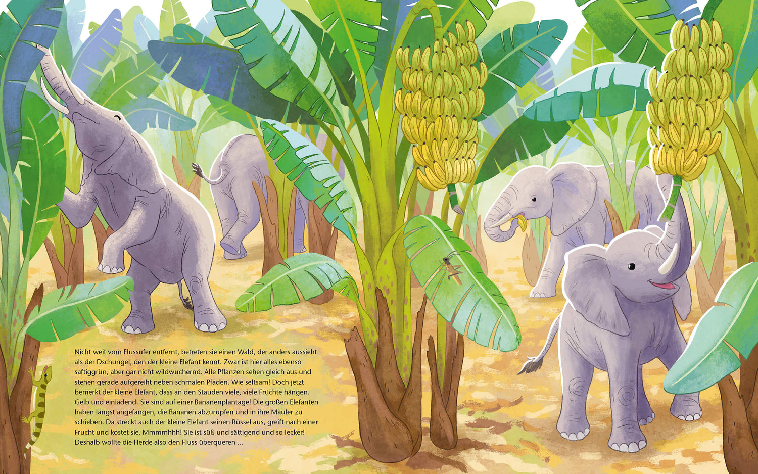  Der kleine Waldelefant - Zu Hause in Afrika Ein Sachbilderbuch für Kinder ab 4 Jahren Kristina Scharmacher-Schreiber (4)