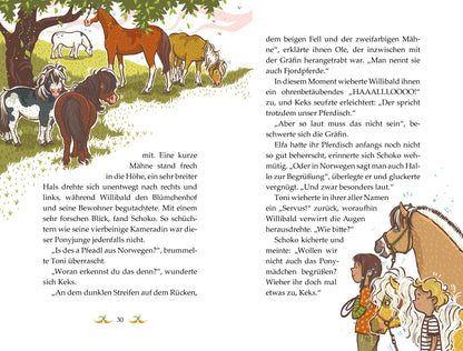  Die Haferhorde - Ponymut macht alles gut Band 21 der lustigen Ponyabenteuer für Kinder ab 8 Suza Kolb 9783734840463 (5)