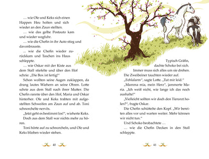  Die Haferhorde - So ein Fohlentheater! Band 8 der lustigen Ponyabenteuer für Kinder ab 8  Suza Kolb 9783734840296 (5)